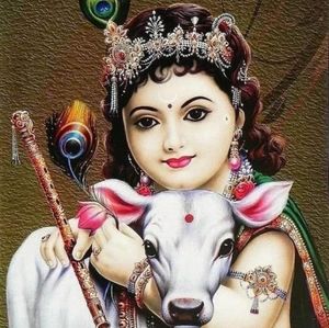 Meet your Posher, Sunil